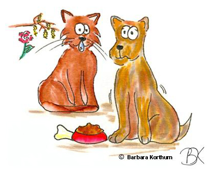 Hund und Katze Allergie