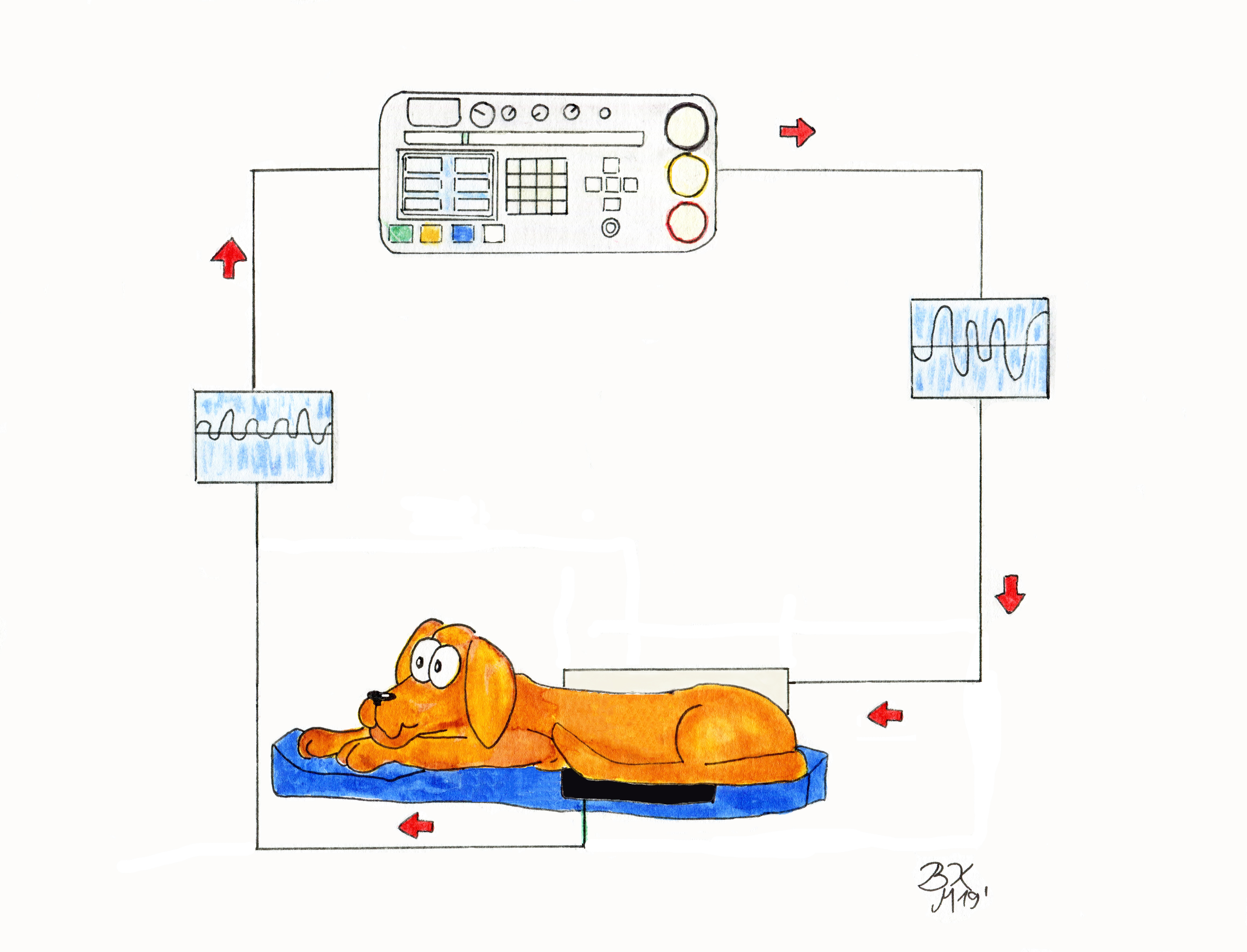 Leporello Aachen Tierheilpraktiker Bicom Bioresonanz Bioresonanztherapie