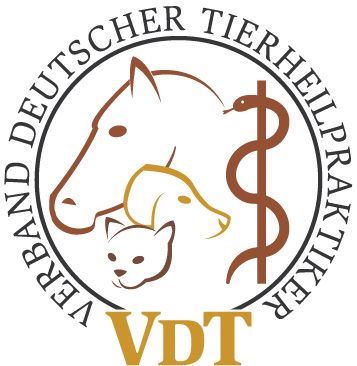 VDT-Logo